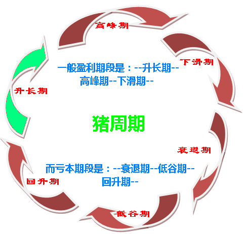 如何破解價(jià)格怪圈 化解“豬周期”風(fēng)險(xiǎn)？