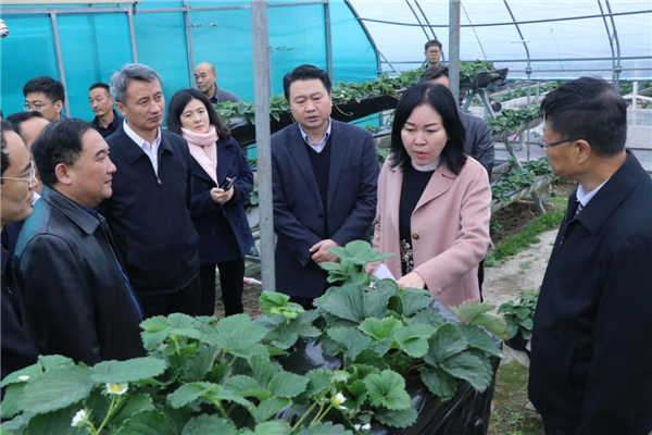 “質(zhì)量興農(nóng)萬里行”陜西站活動花落安康、走進漢濱、風(fēng)起陽晨